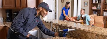 Best Residential Pest Control  in Ntgomery City, MO